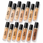 Blossom Spotless Concealer