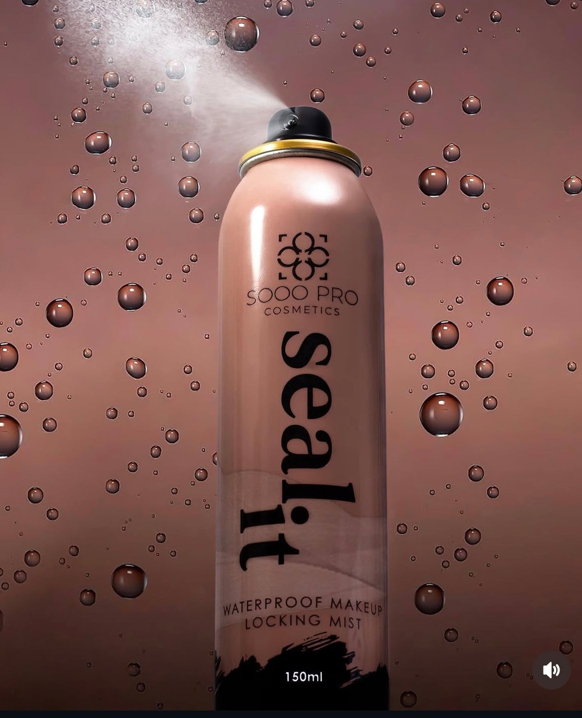 Spray fixateur Soopro