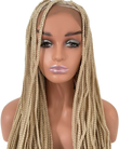 HOLA African braids wig